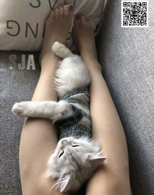 妈妈的朋友 视频