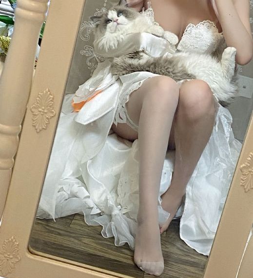炼金士